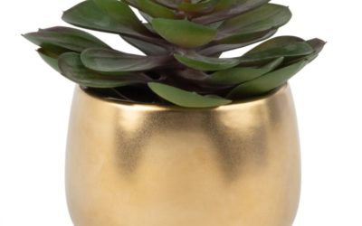 Künstliche Sukkulenten-Pflanze, Topf aus goldfarbener Keramik