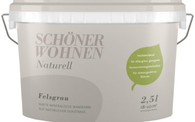 SCHÖNER WOHNEN FARBE Wand- und Deckenfarbe »Naturell Felsgrau«